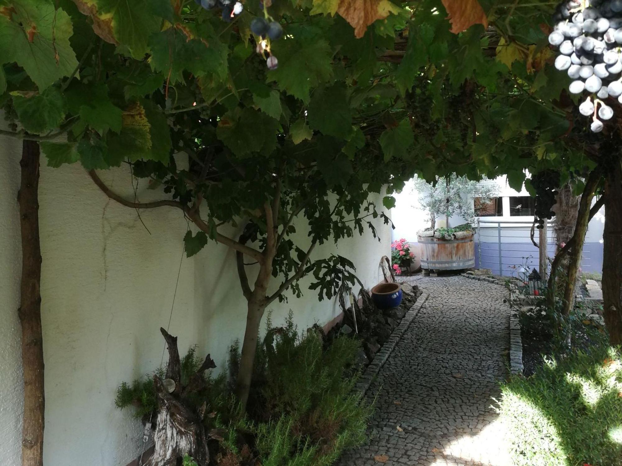 Haus Bienen Bed & Breakfast Ihringen Luaran gambar
